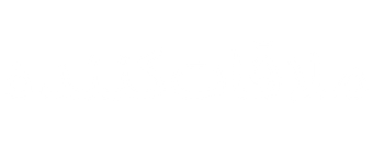 ملاقات کننده