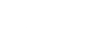 نرگسی