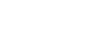 موش سرآشپز