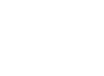 پرنده کوچک خوشبختی