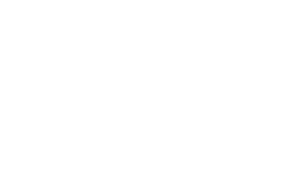 پرده نشین