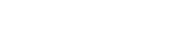 آشنایی با لیلا