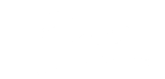 زیر پوست شهر