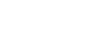 حکیم نقش