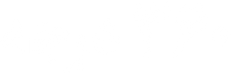 ۳۶۰ درجه