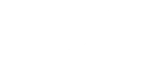 بیگانه